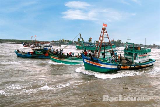 Ngư dân Bạc Liêu tích cực bám biển